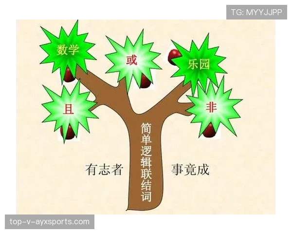 深度剖析三秒规则国际差异背后的判罚逻辑与具体适用标准